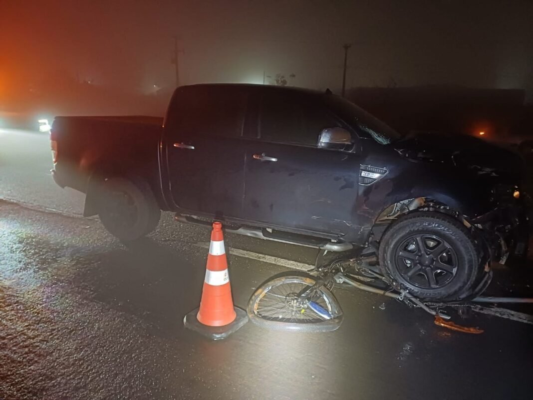 Imagem do WhatsApp de 2025-10-27 à(s) 07.07.42_146ada67