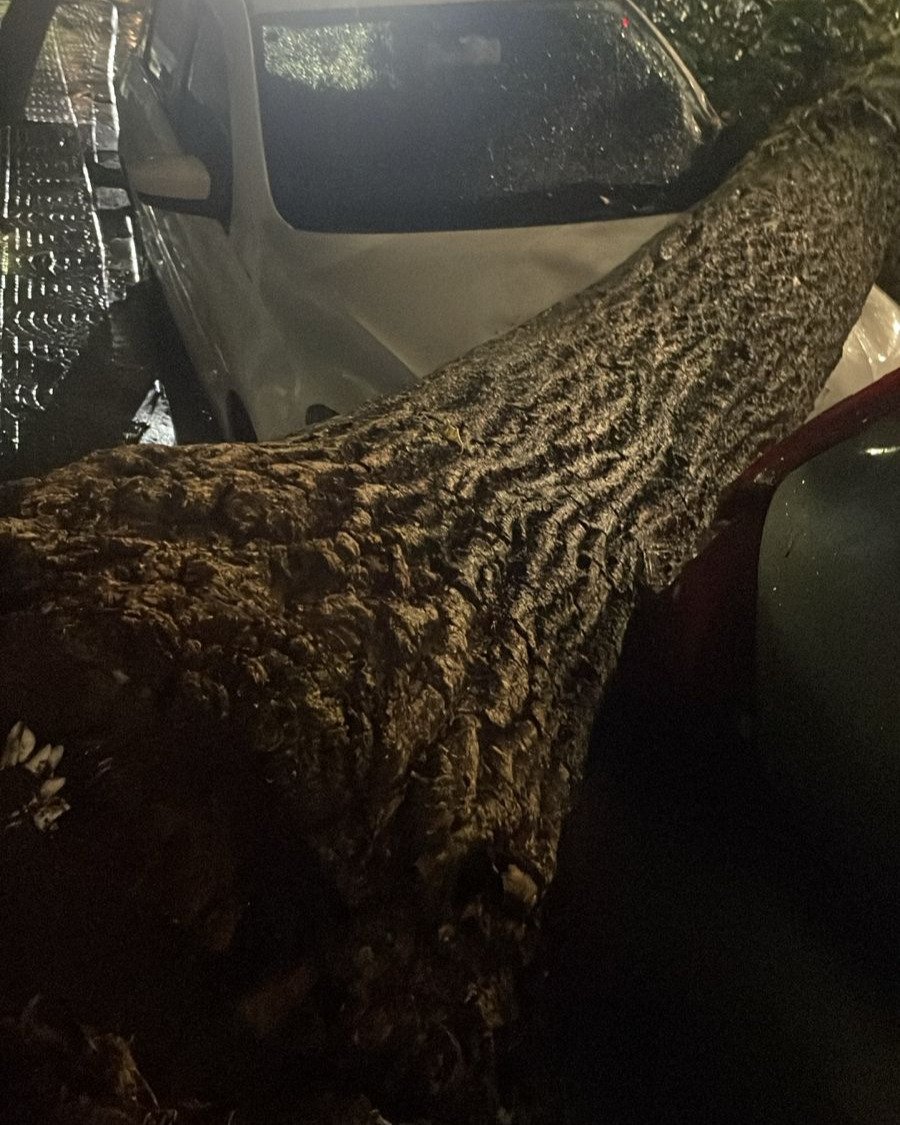 17940284427085549_portallondrina