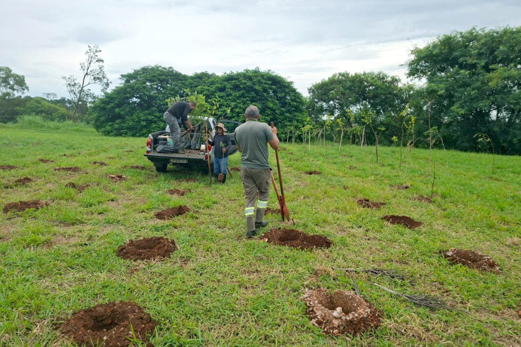 Sema-faz-plantio-de-mudas-na-zona-norte-com-Sec-Agricultura-SEMA-1