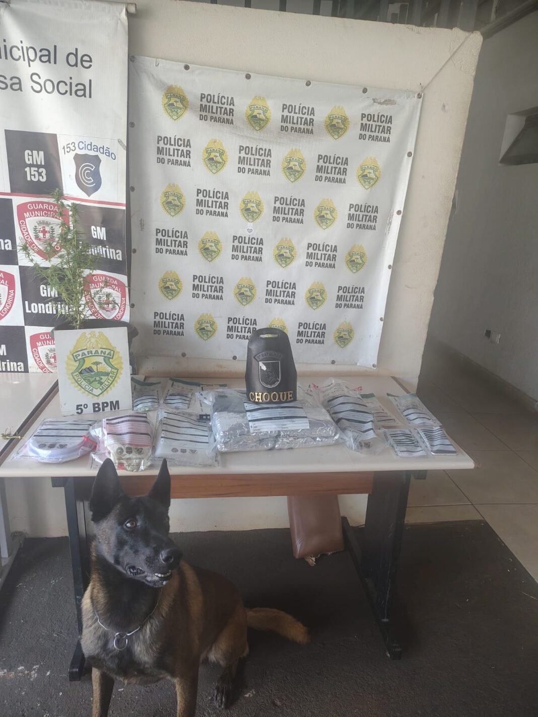 WhatsApp Image 2026-01-31 at 18.03.11