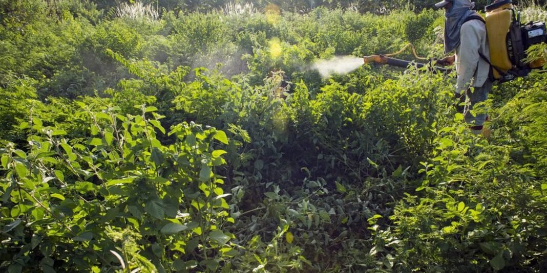 mwz36ofdibpzvj4sjditefktoa