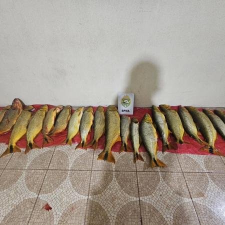 saveclip.app_658829609_18347863267236880_5222823645113073637_n