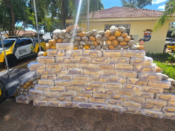 whatsapp_image_2026-03-20_at_14.39.56